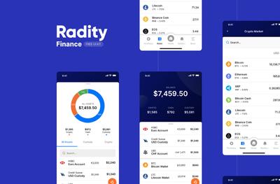 Radity Finance project